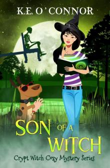 Son of a Witch Read online