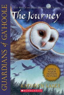 The Journey Read online