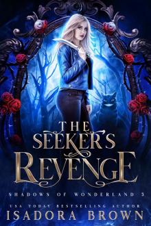 The Seeker's Revenge Read online