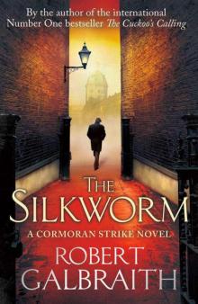 The Silkworm Read online