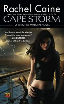 Cape Storm Read online