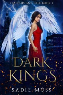 Dark Kings Read online