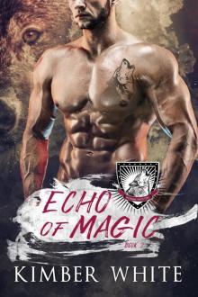 Echo of Magic: A Wolfguard Protectors Novel Read online