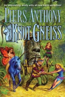 Knot Gneiss Read online