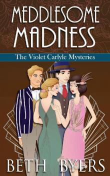 Meddlesome Madness: A Short Story Collection Read online