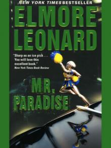 Mr. Paradise Read online