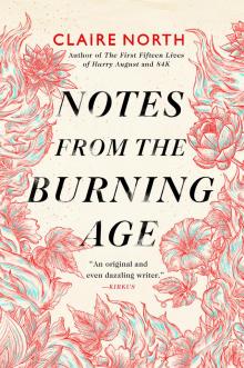 Notes from the Burning Age Read online