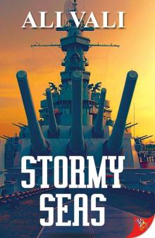 Stormy Seas Read online