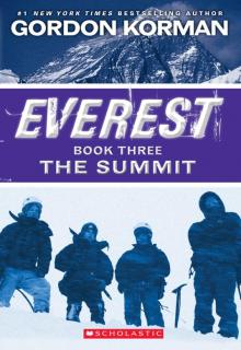 The Summit Read online