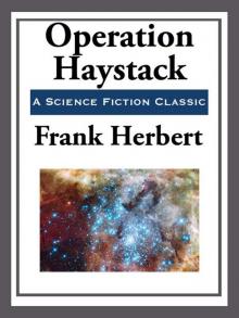 Operation Haystack Read online