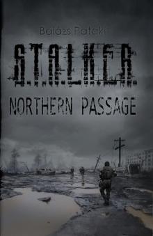 STALKER Northern Passage Read online