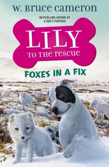 Lily to the Rescue: Foxes in a Fix Read online