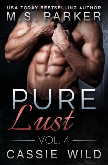 Pure Lust Vol. 4 Read online