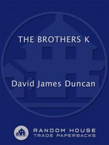 The Brothers K Read online