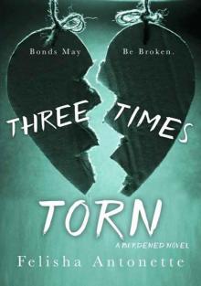 Three Times Torn Read online