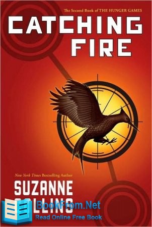Catching Fire Read online