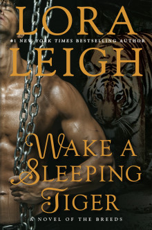 Wake A Sleeping Tiger Read online