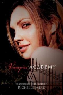 Vampire Academy Read online