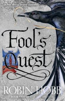 Fools Quest Read online