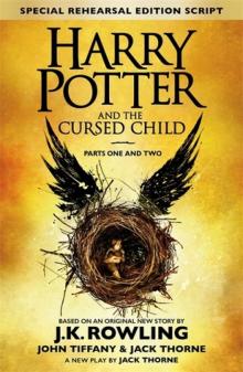 Harry Potter and the Cursed Child Read online