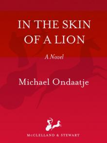 In the Skin of a Lion Read online