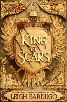 King of Scars Read online