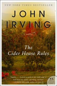 The Cider House Rules Read online