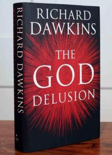 The God Delusion Read online