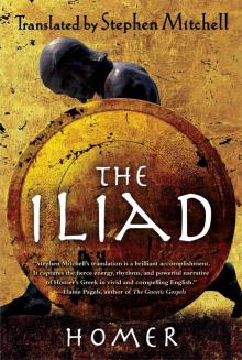 The Iliad Read online