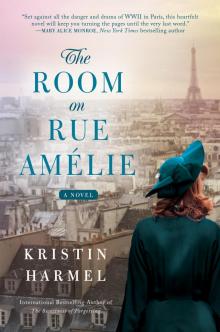 The Room on Rue Amélie Read online