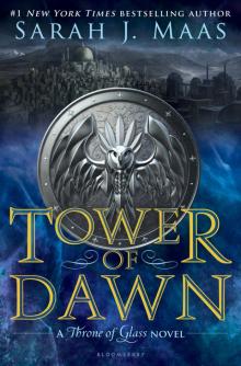 Tower of Dawn Read online