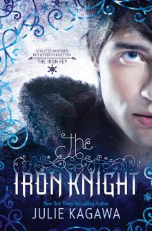 The Iron Knight Read online