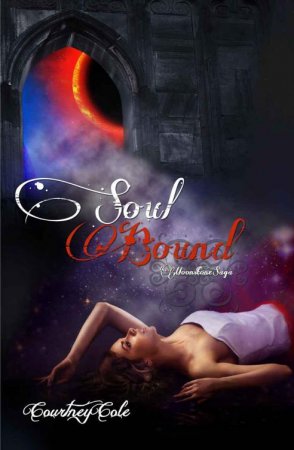 Soul Bound Read online
