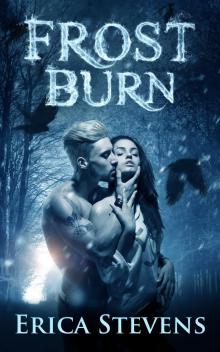 Frost Burn (The Fire and Ice Series, Book 1) Read online