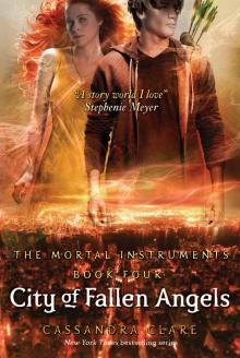 City of Fallen Angels Read online