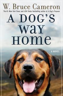 A Dog's Way Home Read online