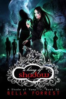 A King of Shadow Read online