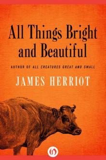 All Things Bright and Beautiful Read online