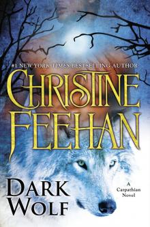 Dark Wolf Read online