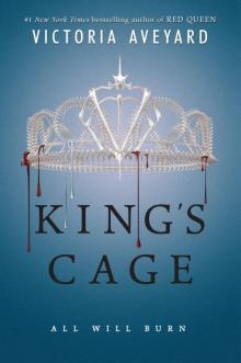 King's Cage Read online