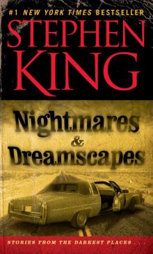 Nightmares and Dreamscapes Read online