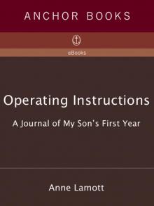 Operating Instructions: A Journal of My Son's First Year Read online