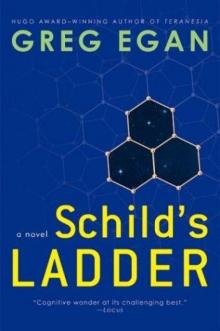 Schild's Ladder Read online