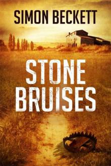 Stone Bruises Read online