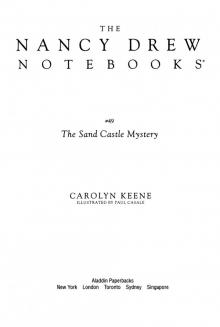 The Sand Castle Mystery Read online