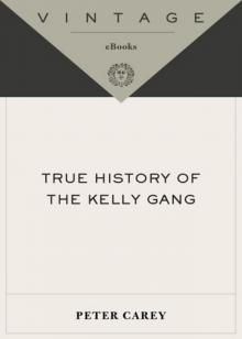 True History of the Kelly Gang Read online