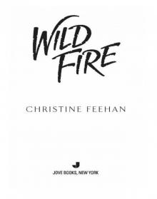 Wild Fire Read online
