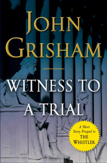 Witness to a Trial Read online
