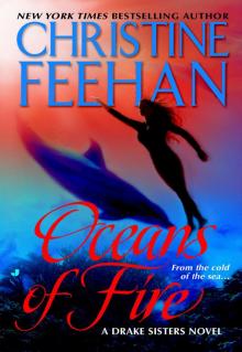 Oceans of Fire Read online