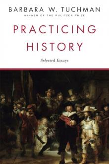 Practicing History: Selected Essays Read online